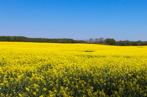 gallerie_1