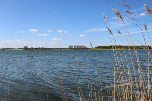 gallerie_15