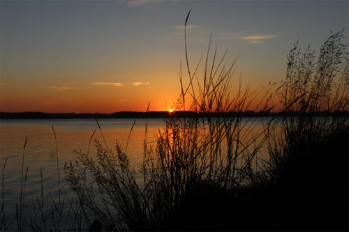 gallerie_17